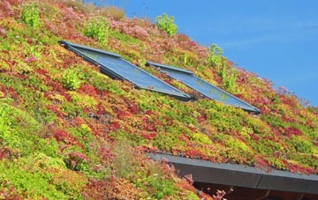 Boleside living roof systems