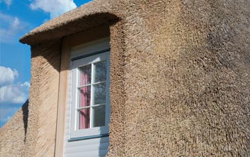 Boleside thatch roof disadvantages