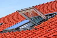 Boleside roof window
