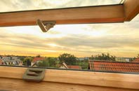 rated Boleside roof window companies